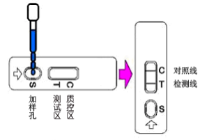 膠體金檢測卡6