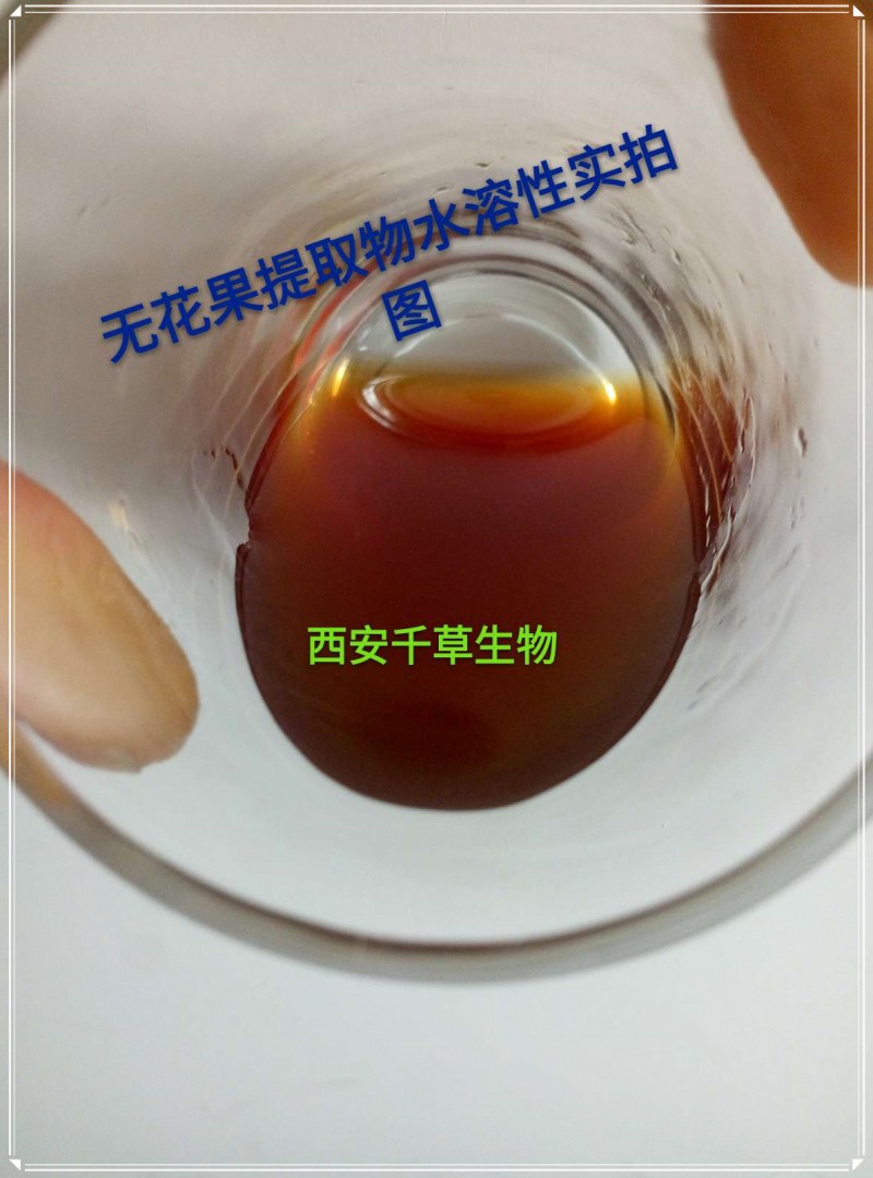 無花果實拍圖