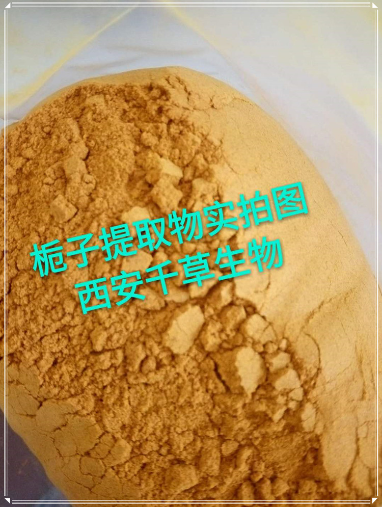 梔子實拍圖