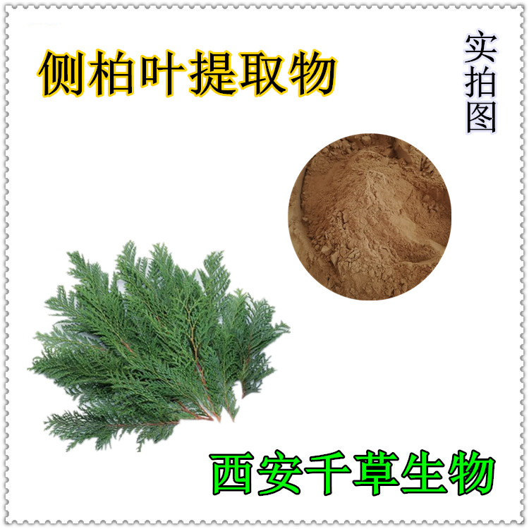 側柏葉提取物