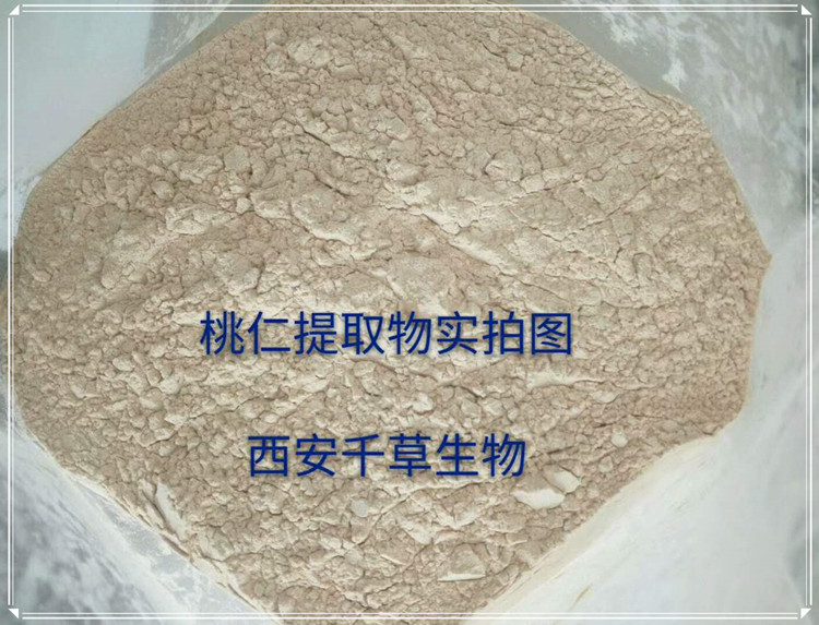 桃仁實拍圖