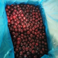 冷凍波蘭酸櫻桃