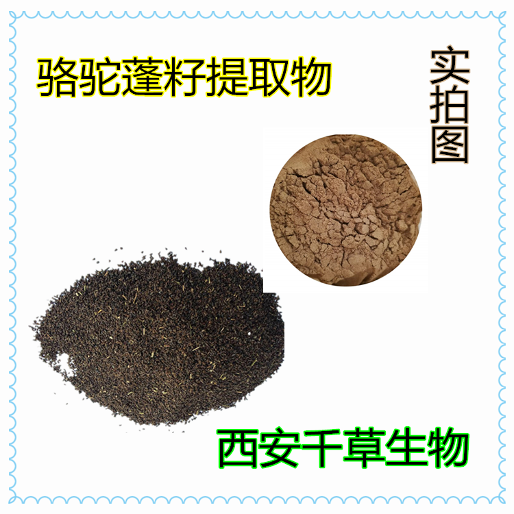 駱駝蓬籽提取物