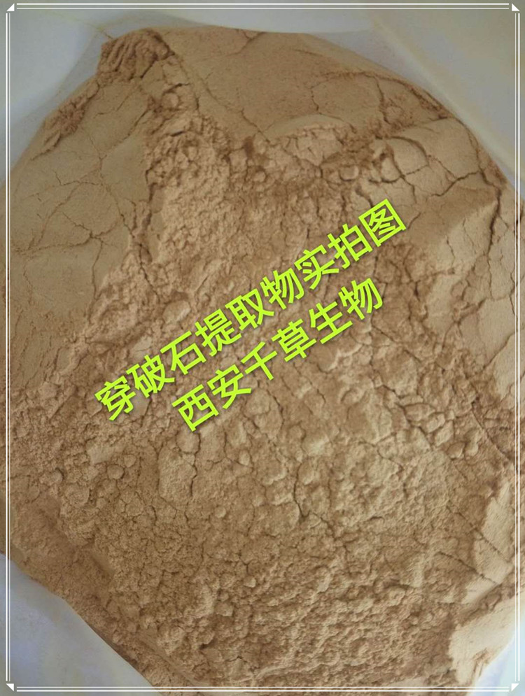穿破石實拍圖
