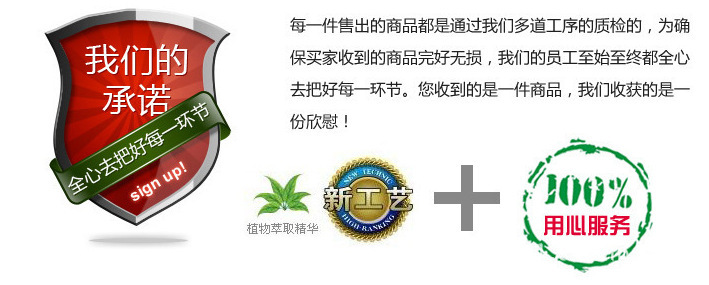 我們的承諾