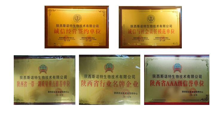 企業(yè)榮譽(yù)