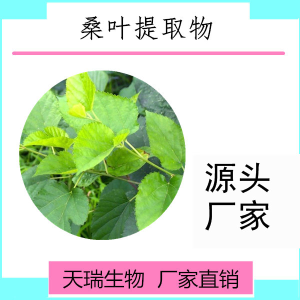 桑葉_副本