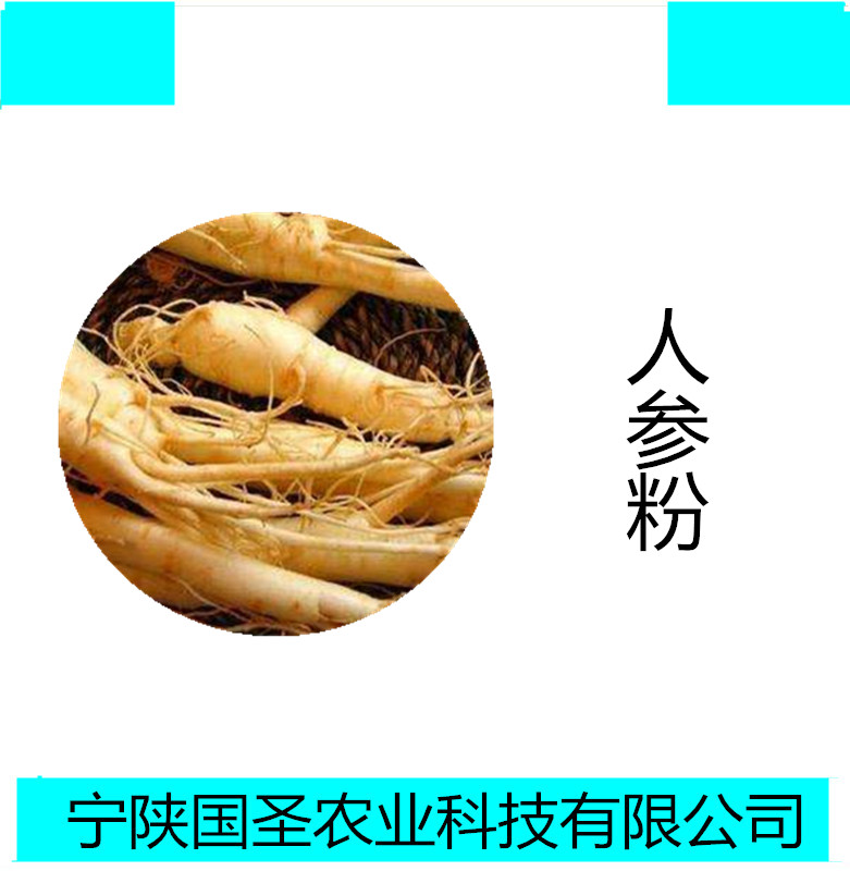 人參_副本