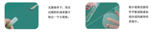 菌種復蘇流程