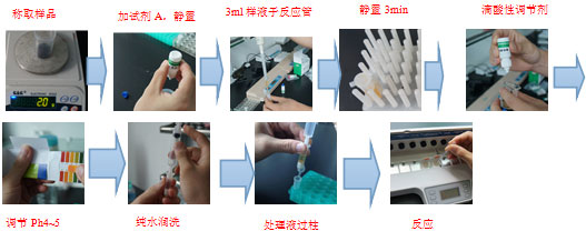茶葉檢測卡實驗流程圖