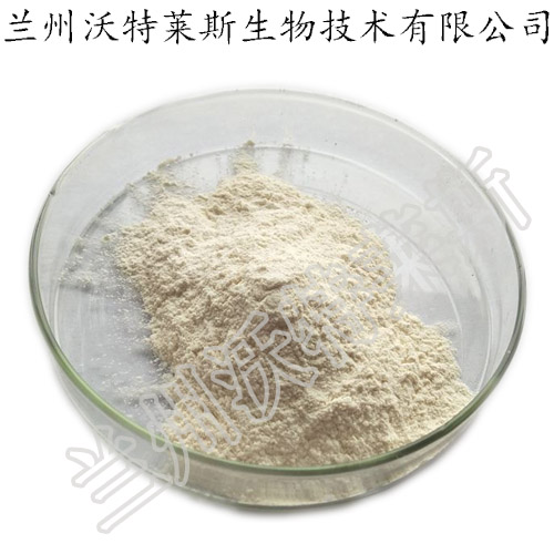 藤茶提取物