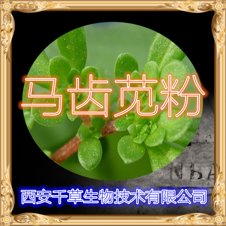 馬齒莧粉
