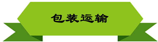 包裝運輸_副本3