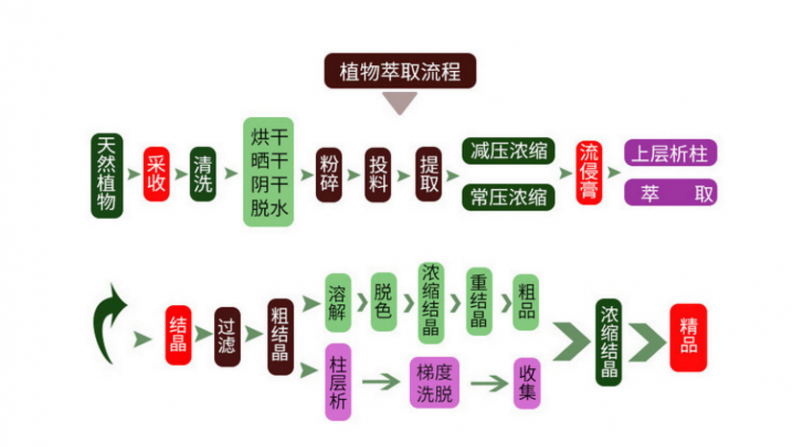 提取工藝