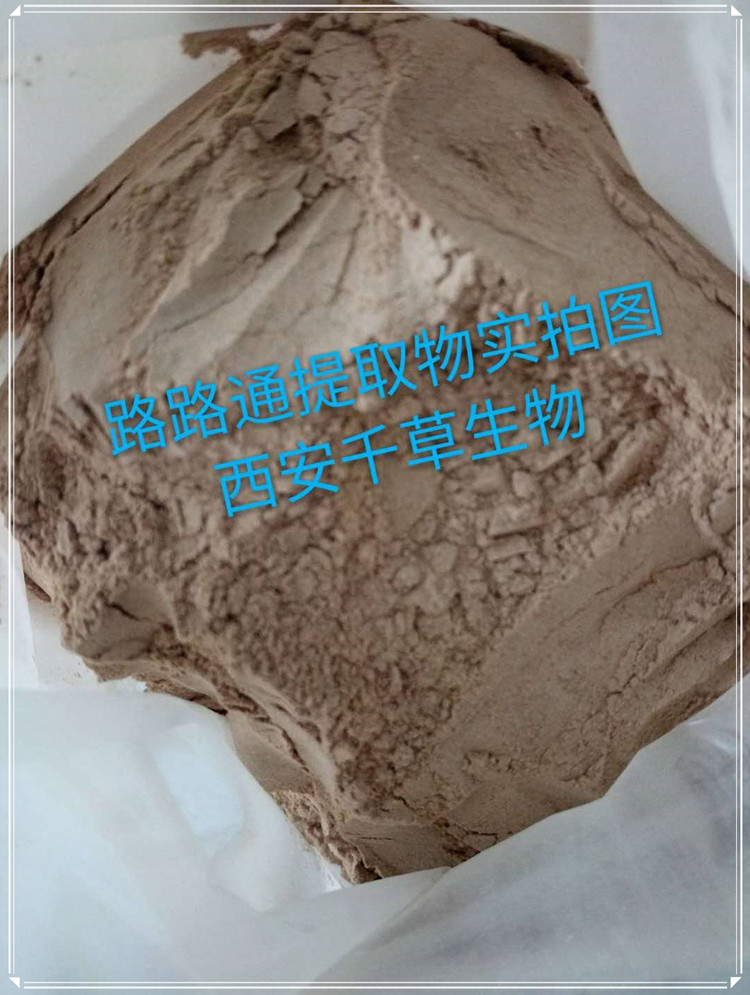 車前子實拍圖1