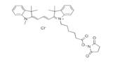 蛋白質、多肽、核酸等生物分子標記染料解決方案----Lumiprobe(5)|高校教學與科研實驗|上海西寶生物科技有限公司-咨詢電話：400-021-8158