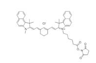 蛋白質、多肽、核酸等生物分子標記染料解決方案----Lumiprobe(5)|高校教學與科研實驗|上海西寶生物科技有限公司-咨詢電話：400-021-8158