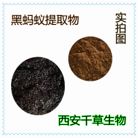 水溶性黑螞蟻提取物黑螞蟻粉 廠家供應多規(guī)格黑螞蟻濃縮原液