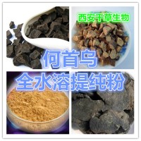 何首烏濃縮粉 廠家生產(chǎn)天然濃縮粉 定做何首烏流浸膏顆粒