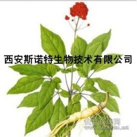 人參浸膏粉 斯諾特生物 包郵