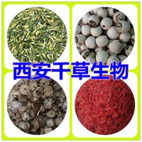 游草提取物游草流浸膏游草水溶粉 供應(yīng)各類天然提取物