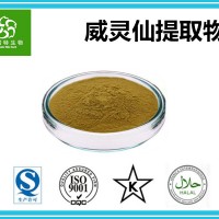 威靈仙提取物 鐵腳威靈仙提取物 天然提取規格10:1