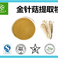 金針菇提取物 金針菇粉 金針菇多糖 專業提取廠家 批發零售