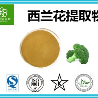 西蘭花提取物 青花椰菜提取物 斯諾特集團 天然原料粉