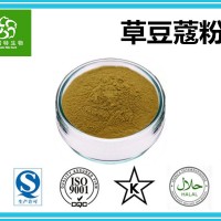 草蔻粉 草扣粉 草豆蔻粉 天然濃縮粉 扶風生產基地批發