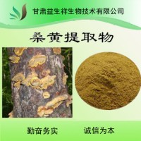 桑黃提取物 桑黃粉 桑黃多糖 1公斤起訂