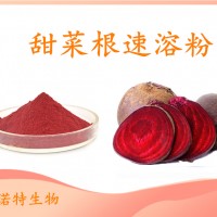 甜菜根速溶粉 斯諾特自有工廠 質(zhì)量穩(wěn)定 量大從優(yōu)