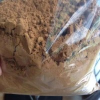 云芝提取物的價格