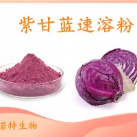 紫甘藍(lán)速溶粉 食品飲料原料 自有工廠現(xiàn)貨直發(fā) 可免費(fèi)試樣