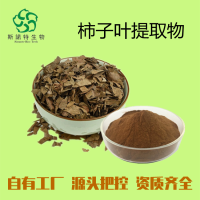柿子葉提取物 柿子葉濃縮粉 斯諾特工廠 庫存充足