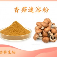 香菇速溶粉 果蔬粉 斯諾特工廠生產(chǎn) 質(zhì)量穩(wěn)定 庫(kù)存充足