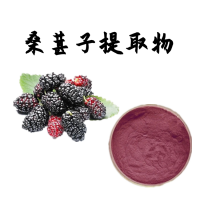 桑葚子提取物 花青素濃縮粉 食品原料