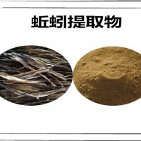 蚯蚓提取物 蚯蚓粉 比例提取