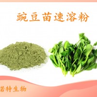 豌豆苗速溶粉 斯諾特工廠供應(yīng) 水溶性好 質(zhì)量穩(wěn)定 1kg起訂