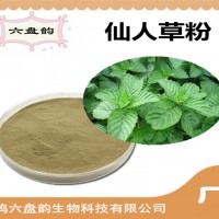 仙人草速溶粉 食品原料 仙人草粉 水溶性