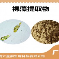 裸藻提取物 比例提取 裸藻粉 新資源食品原料