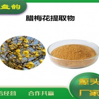 臘梅花提取物 臘梅花粉 批發(fā)