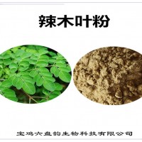 辣木葉濃縮粉 辣木葉粉 比例提取 批發(fā)供應(yīng)