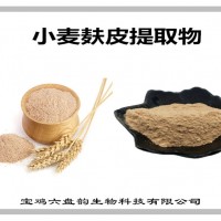 小麥麩皮提取物 小麥麩皮粉 多種規格 可定制生產