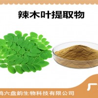 辣木葉提取物 新資源食品原料 辣木葉粉