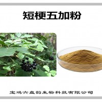 短梗五加速溶粉 新資源食品原料 短梗五加粉