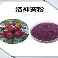 洛神葵速溶粉 固體飲料原料 洛神葵粉