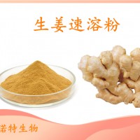 生姜速溶粉 斯諾特工廠供應(yīng) 水溶性好 質(zhì)量穩(wěn)定 可試樣