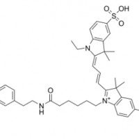 Tyramide-Cy3 ,174961-75-2熒光試劑