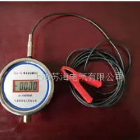 ZGF-II型高壓直流微安表