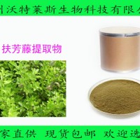 扶芳藤提取物 扶芳藤粉 絡石藤提取物